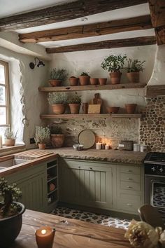 a kitchen filled with lots of potted plants next to a stove top oven covered in candles