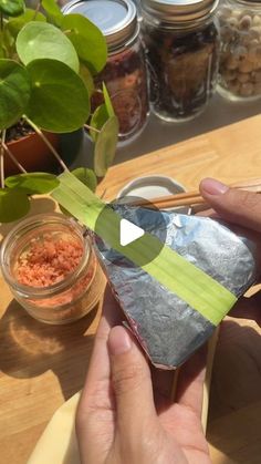 a person holding up a piece of tin foil next to a potted plant on a table