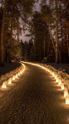 many lit candles are lined up on the side of a path in the woods at night