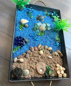 a tray filled with sand and rocks on top of a wooden floor next to plants