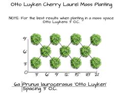 a graph shows the number of trees that have been planted in different locations on land