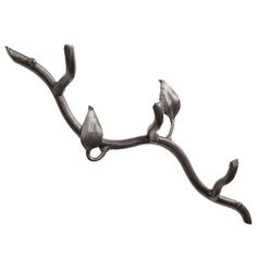 Sassafras Triple Hook-Iron Accents Puppy Leash, Hammered Iron, Decorative Wall Hooks, Iron Accents, Iron Hook, Iron Hardware, Copper Accents, Branch Design, Hand Forged Iron