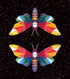 two colorful butterflies with skulls on their wings are in the middle of a black background