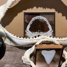 a fake shark's teeth are displayed in front of a photo frame and other items