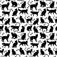 black and white silhouettes of cats with paw prints on the back ground, all in different sizes