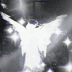 a black and white photo of a bird with its wings spread