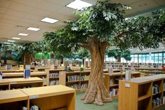 a large tree in the middle of a library filled with lots of books and desks