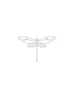 a line drawing of a dragonfly on a white background