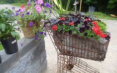 a shopping cart filled with flowers sitting on top of a cement wall next to potted plants