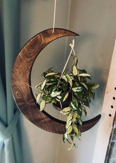 a plant is hanging from a wooden moon