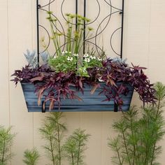 a window box filled with lots of plants next to a wall mounted potted planter