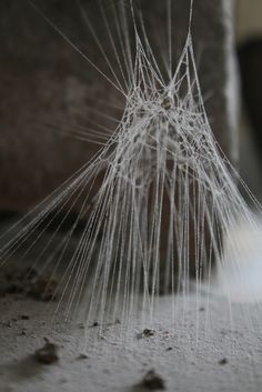 a close up view of the inside of a spider web