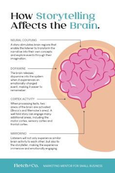 the inside of a human head with text describing how story telling affects the brain