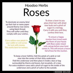 Hoodoo Herbs And Uses, Hoodoo Herbs, Hoodoo Conjure Rootwork, Hoodoo Rootwork, Hoodoo Magic, Hoodoo Conjure, Marie Laveau, Hoodoo Spells, Voodoo Hoodoo