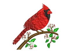 a red bird sitting on top of a tree branch with white flowers and green leaves