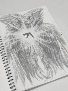 a spiral notebook with a drawing of a bird in the center and feathers on it