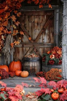 pumpkins and gourds in front of an old wooden door with fall foliage