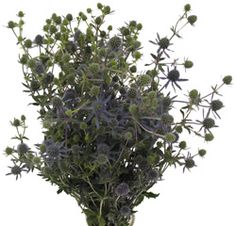 a vase filled with purple flowers on top of a table