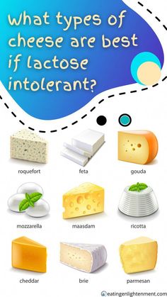 what types of cheese are best if lactose intolerant? infographical