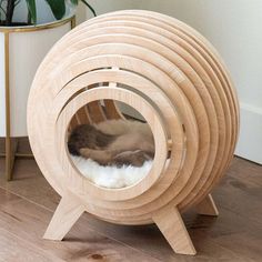 a cat bed made out of wooden circles on top of a hard wood floor next to a potted plant