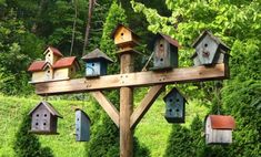 several bird houses are hanging from a wooden structure in the grass with trees and bushes behind them