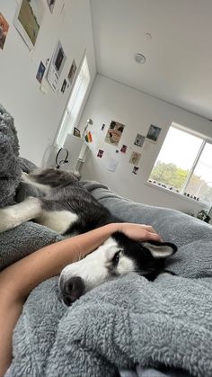 a woman laying on top of a bed next to a black and white husky dog