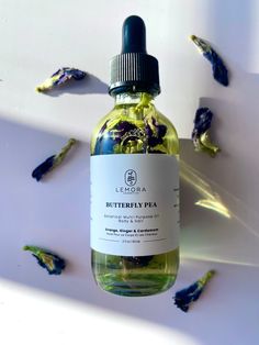 Butterfly Pea Oil for Body & Hair.  Butterfly Pea flowers have potent compounds that can help keep your skin and hair looking healthy. Enjoy the amazing benefits of this flower in this all-natural infused oil, that can be used from head to toe.  This rich blend of blue butterfly pea, sweet citrusy orange essential oil and warm, spicy ginger and cardamom is nourishing, mood-boosting, and energizing. A must-have for your self care rituals!  100% Vegan & Plant-Based   Ingredients: Sweet Almond Oil, Butterfly Pea Flower, Apricot Kernel Oil, Fractionated Coconut Oil, Avocado Oil, Vitamin E, Orange Essential Oil, Ginger Root Oil, Cardamom Seed Oil  Made without parabens and synthetic fragrances.  Size: 2oz (glass bottle with dropper) Lemora Cosmetics products are handcrafted in small batches to Butterfly Pea Flower Infused Oil, Flower Infused Oil, Infused Body Oil, Butterfly Pea Flowers, Hair Orange, Moisturizing Hair, Infused Oil, Oil Remedies, Butterfly Pea Flower