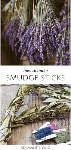 Learn how to craft your own smudge sticks with this guide from our herbal apothecary. By using lavender and mugwort, you create a tool that not only cleanses the environment but also supports relaxation and dream work. This DIY guide is perfect for beginners and seasoned practitioners looking to add a personal touch to their home or rituals. Find more about herbs for health and herbal medicine recipes at adamantliving.com Medicinal Herbs Recipes, Smudge Sticks Diy, How To Make Shampoo, Benefits Of Herbs, Medicinal Herbs Remedies, Dandelion Coffee, Using Lavender, Medicine Recipes, Roasted Dandelion Root