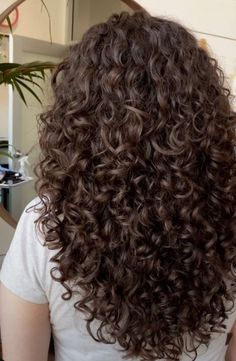 Layers On Brunette Hair, Curly Hairstyles With Short Hair, Non Frizzy Curly Hair, Perm Curl Sizes, Curly Brown Hair Styles, Brown Hair On Curly Hair, Dyed Brown Curly Hair, Waist Length Curly Hair Natural, Short Curly Hair Long Layers