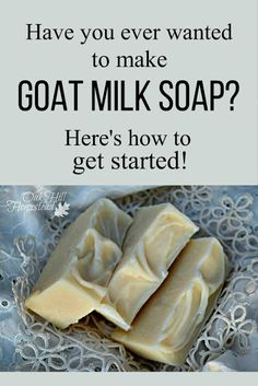 goat milk soap with the words have you ever wanted to make goat milk soap? here's how to get started