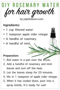 Rosemary Water For Hair Growth, Rosemary Water For Hair, Natural Hair Growth Remedies, Rosemary Water, Healthy Natural Hair Growth, Hair Growing Tips, Hair Remedies For Growth