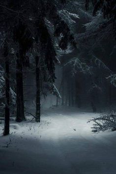 a black and white photo of snow covered trees in the woods at night with fog