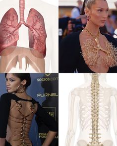 when fashion meets Human anatomy: Bella Hadid wearing Schiaparelli lungs necklaces 🫁 fw2021 couture Zendaya wearing Roberto Cavalli metal spine dress FW2000 #fashion#zendaya#bellahadid#robertocavalli Spine Dress, Fashion Design Inspiration Board, Fashion Show Themes, Roberto Cavalli Dress, Anatomy Models, African Traditional Dresses, Fashion Inspiration Design, Fashion Design Sketches