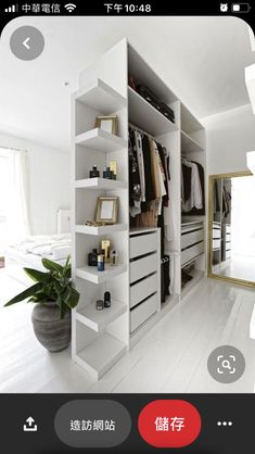 a white closet with drawers and shelves filled with clothes next to a large potted plant