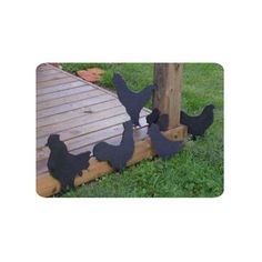 three black chickens standing next to a wooden fence