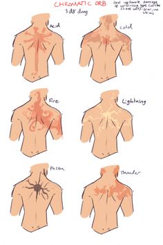 different views of the chest and back of a person's body with spider crawling on it