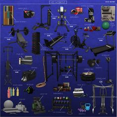 an illustrated diagram of various gym equipment and their names on a blue background with text below