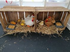 two wooden crates filled with chickens and other small animals sitting in hay next to each other