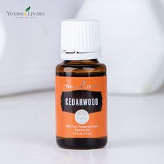 Cedarwood Essential Oil Young Living, Cedarwood Essential Oil Uses, Young Living Essential Oil Diffuser, Thieves Oil, Essential Oil Beauty, Essential Oils For Pain, Yl Oils