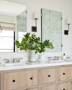 a bathroom with two sinks, mirrors and plants in the vase on the counter top