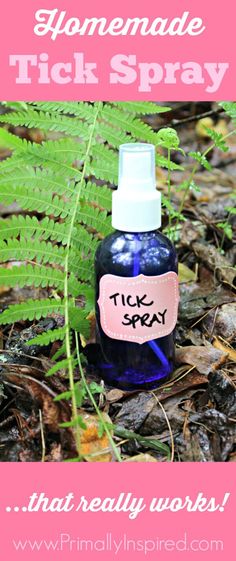 a bottle of tick spray sitting on the ground in front of a fern leaf with text that reads homemade tick spray that really works