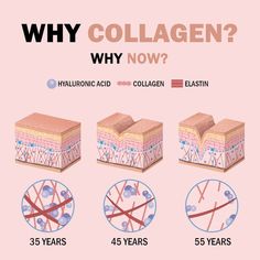 Collagen Peptides Benefits, Collagen Injections, Collagen Skin Care, Esthetician Marketing, Skin Facts, Skin Care Business, Skin Aesthetics, Collagen Benefits