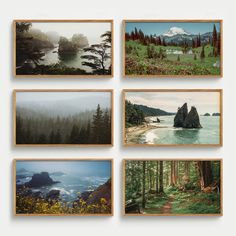 four framed photographs of trees, water and mountains in different frames on the wall above them