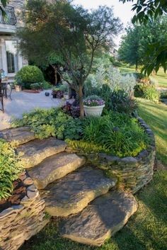 a garden with rocks and plants in it