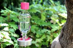 a glass bird feeder hanging from a tree