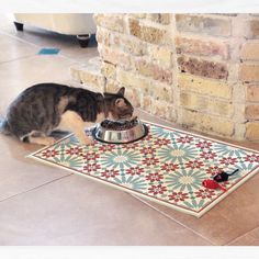 a cat eating food out of a bowl on the floor next to a brick wall