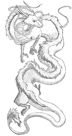 a drawing of two dragon with their heads facing each other