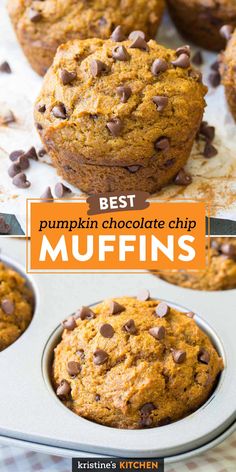 pumpkin chocolate chip muffins in a muffin pan with the title overlay