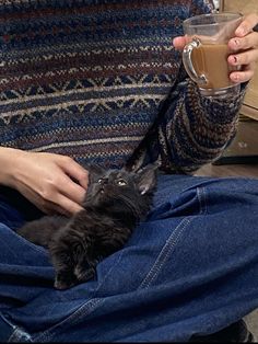 a person holding a cup with a cat in it while sitting on the floor next to them