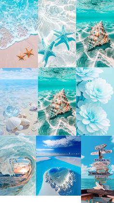 four different pictures with blue water and white flowers in the middle one has a heart shaped starfish on it